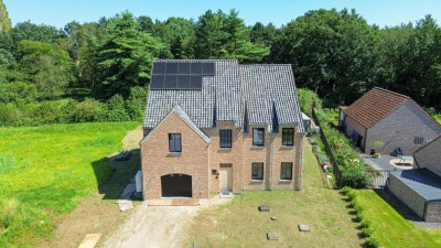 DJI_0781